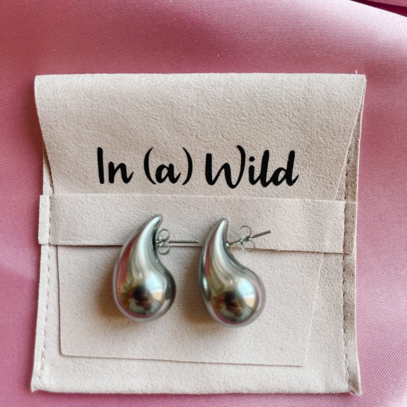 Pendientes Gota plateado